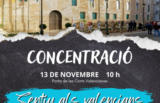 CONCENTRACIÓN CORTS “SENTIU ALS VALENCIANS-Votació urgent dels diputats que han de defendre el Dret Civil Valencià davant del Congreso